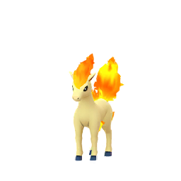Ponyta