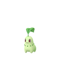 Chikorita