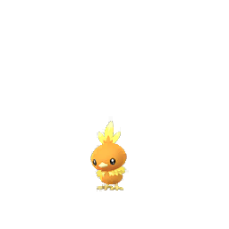 Torchic