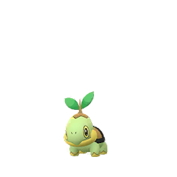 Turtwig