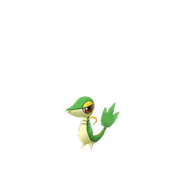 Snivy