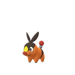 Tepig